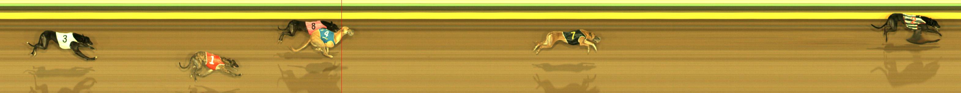 Race result finish photo